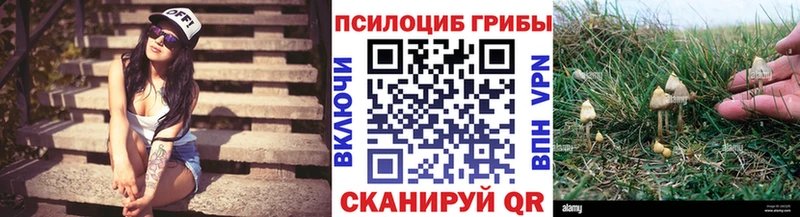 Псилоцибиновые грибы мухоморы  MEGA ссылки  Анжеро-Судженск 