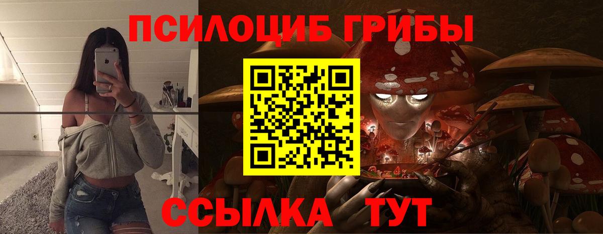 Псилоцибиновые грибы ЛСД Анжеро-Судженск